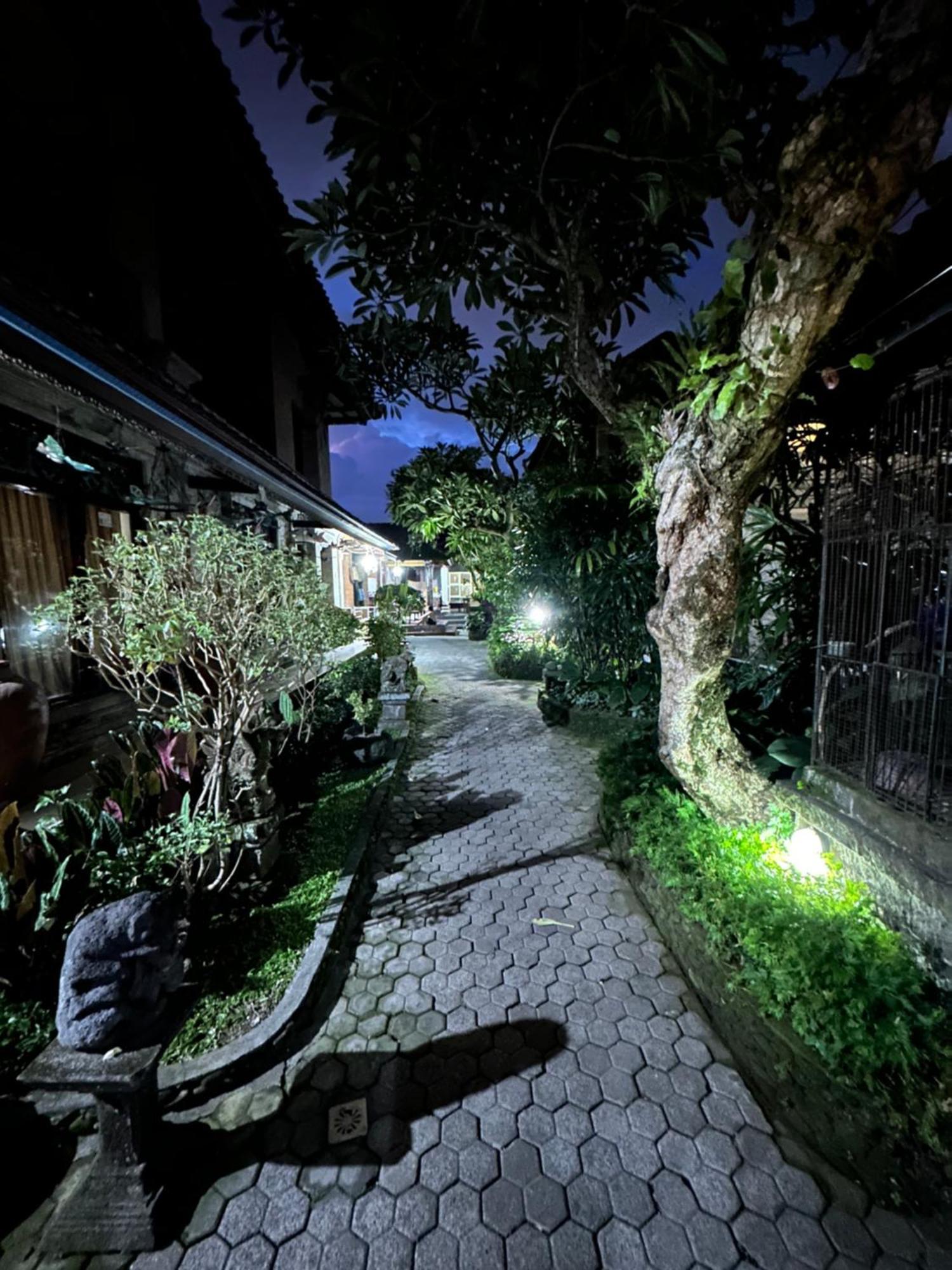 Nirvana Pension Ubud Zewnętrze zdjęcie